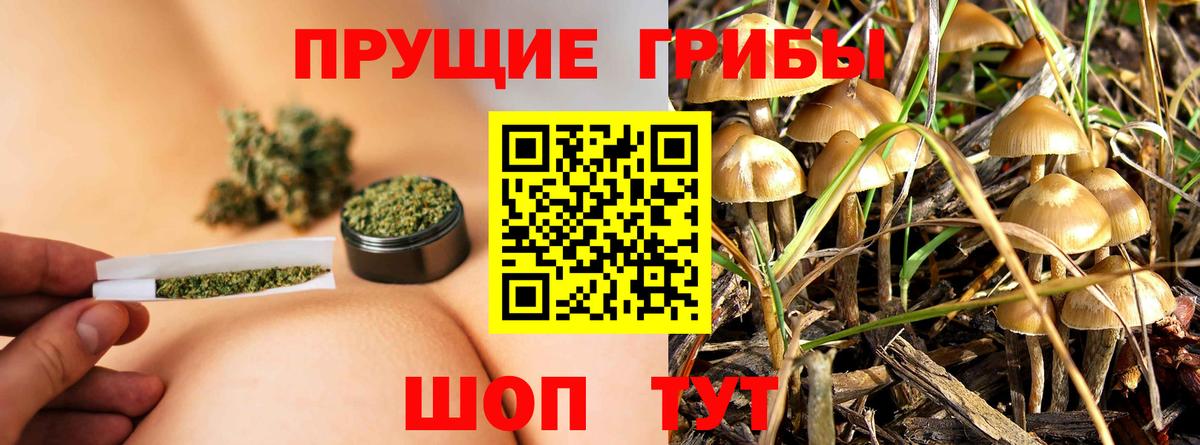 Псилоцибиновые грибы GOLDEN TEACHER Сальск