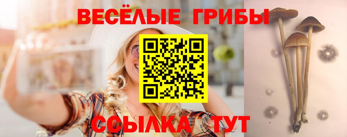 Галлюциногенные грибы Magic Shrooms  Вход с VPN  что такое   Сальск 